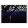 Jewel Tree Framed Poster | Eyvind Earle Framed Prints Wall Art | Eyvind Earle Prints