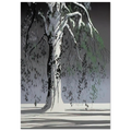 Fir Tree In Snow Poster | Eyvind Earle Poster | Eyvind Earle Prints