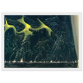 Out of the Sea Framed Poster | Eyvind Earle Framed Prints Wall Art | Eyvind Earle Prints