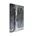 Fir Tree In Snow Canvas | Eyvind Earle Canvas | Eyvind Earle Prints
