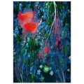 Poppies Poster | Eyvind Earle Poster | Eyvind Earle Prints