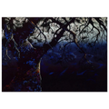 Jewel Tree Poster | Eyvind Earle Poster | Eyvind Earle Prints
