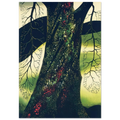 Oak Tree Poster | Eyvind Earle Poster | Eyvind Earle Prints
